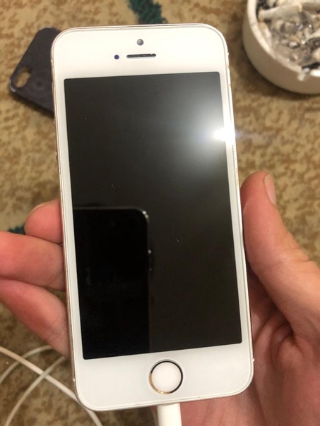Apple iPhone 5s 16 ГБ