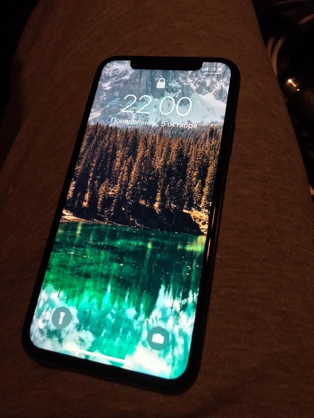 Apple iPhone X 64 ГБ