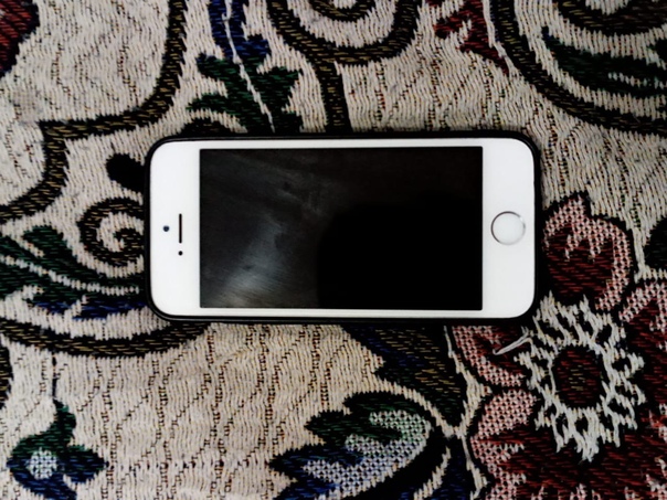 Apple iPhone 5s