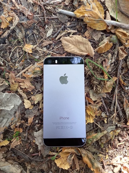 Apple iPhone 5s