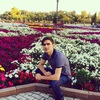 Arash