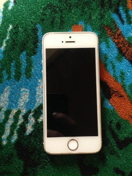 Apple iPhone 5s