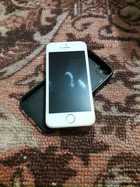 Apple iPhone 5s