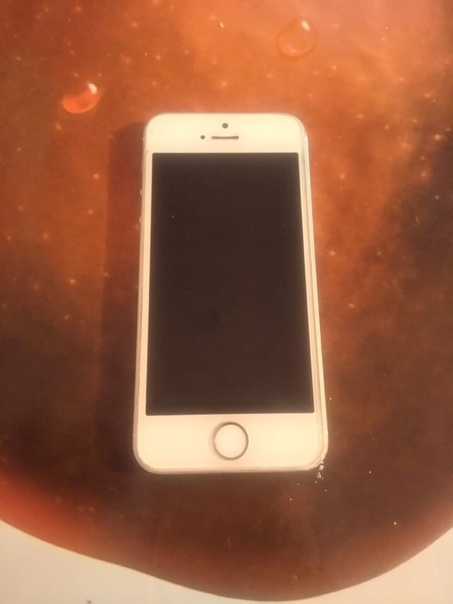 Apple iPhone 5s