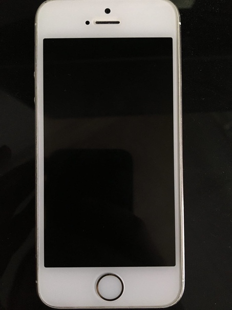 Apple iPhone 5s