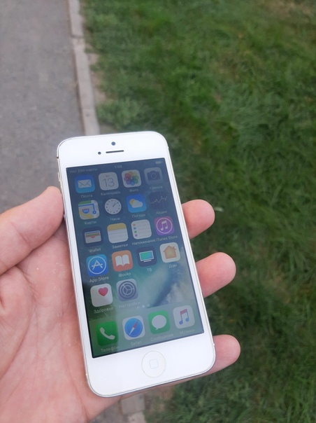 Apple iPhone 5