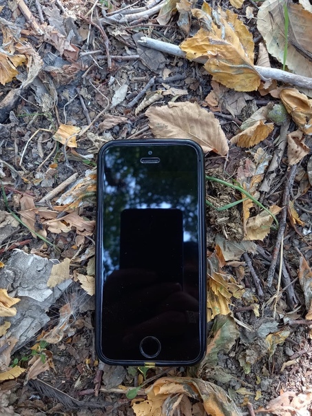 Apple iPhone 5s