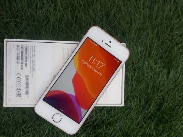 Apple iPhone SE