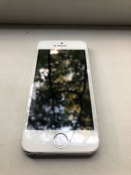 Apple iPhone 5s